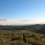 IMG_1091_2_edit