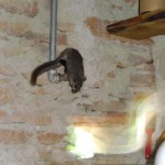 DSCF4459.JPG