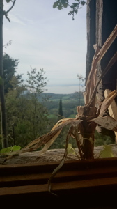 2014-10-14-AltroVivere (189)