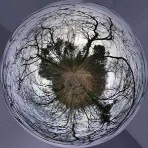 2015-03-04-AltroVivere (57)TP2-PANO_20150304_152916_1