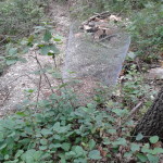 2014-07-04 14.33.07
