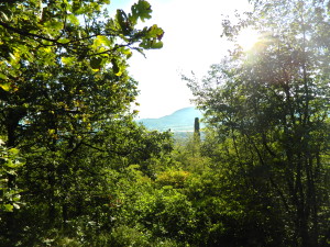 L'ostrieto gardesano