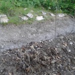 swale